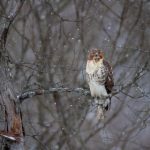 户外野战无码播放在线看 18kzh5g8m8