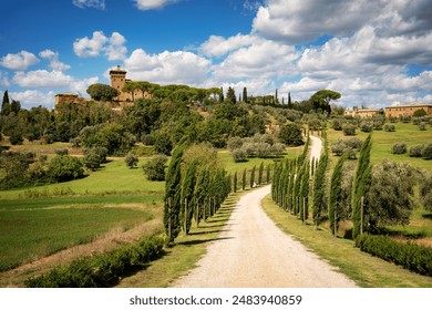 苍井优在观线全集