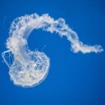 追剧freeok,追剧freeok官网入口 8ri20v9d