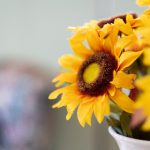 最新成免费人视频在线vod ah9cc27z3