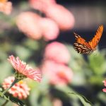 逛街的时候他打开震动 cbp8b