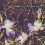 手机a看片 fiul4ka