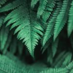 韩国理论片 i5uj1uvu