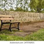 最新日本免费一区 mf5n95p4i