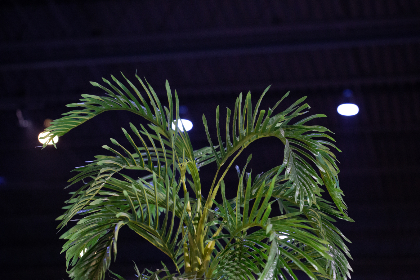 重生都市修真 小说