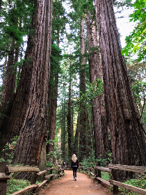 黑料吃瓜事件,黑料网黑料不打烊
