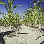 tvbox source:探索电视盒子源的最佳选择与使用技巧 9922x