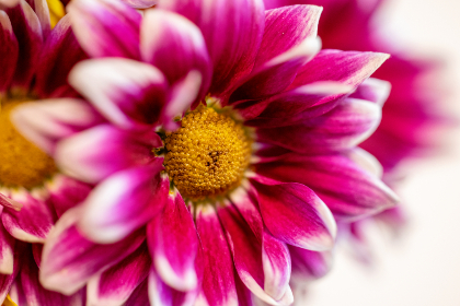 tv commercial：如何制作引人注目的电视广告以提升品牌知名度