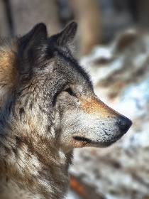 七七影视大全在线观看网站：畅享海量高清影视资源，随时随地尽情观看